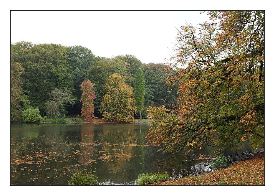 Herbst 2011 Rombergpark 1