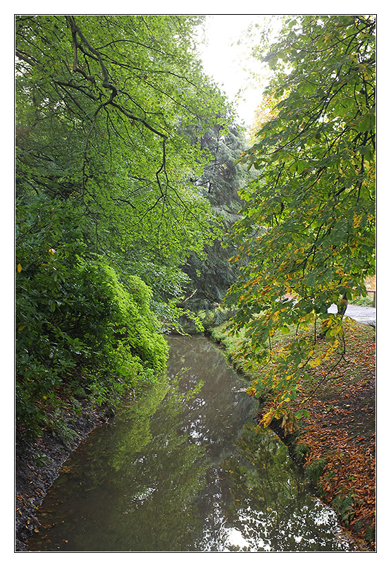 Herbst 2011 Rombergpark 10