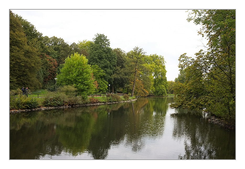 Herbst 2011 Rombergpark 5