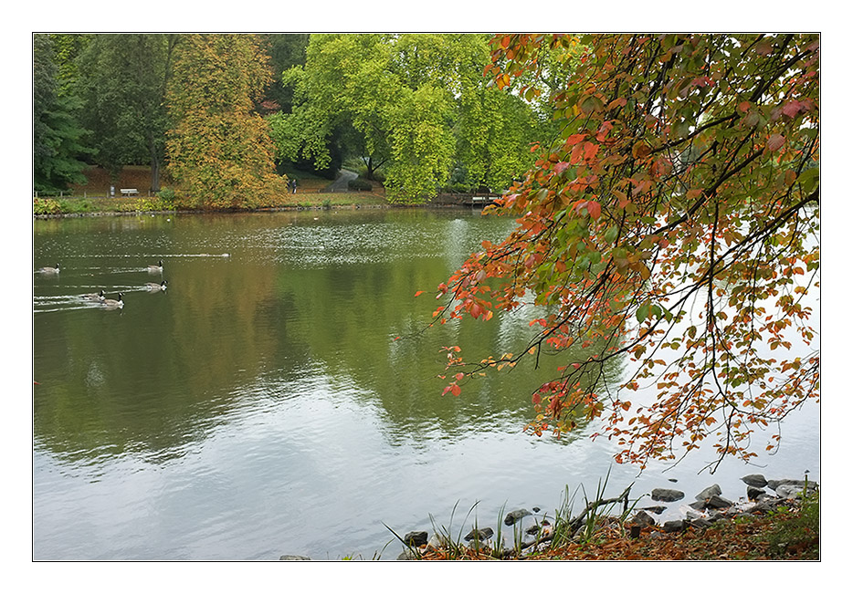 Herbst 2011 Rombergpark 6