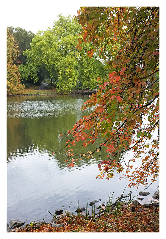 Herbst 2011 Rombergpark 9