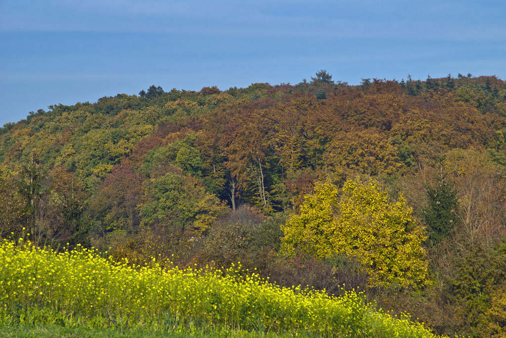 herbst 2011