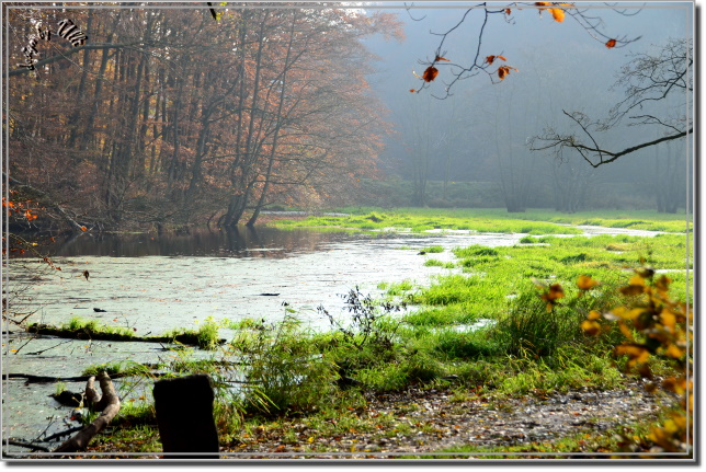 Herbst 2011
