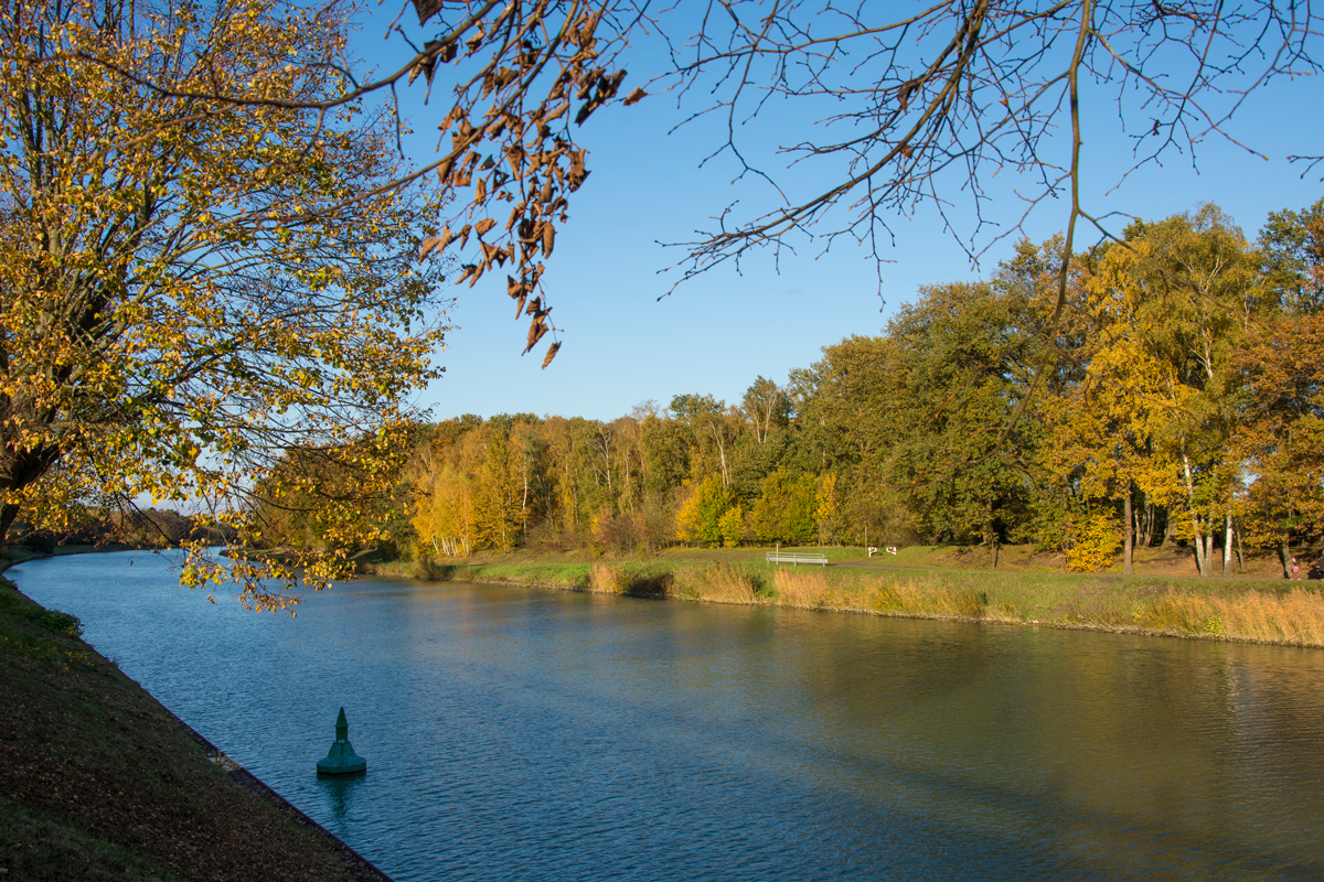 Herbst-2020-8k.jpg