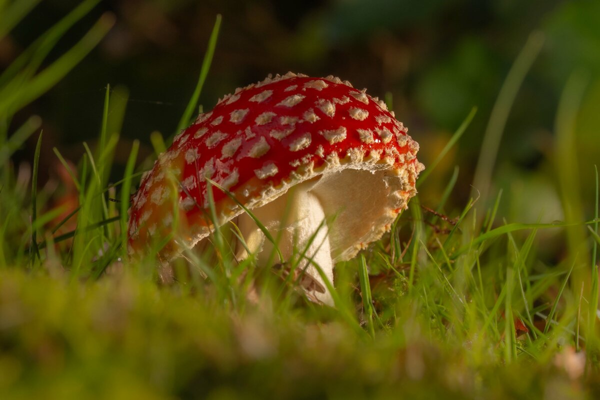 Herbst 2025-AF Kopie.jpg