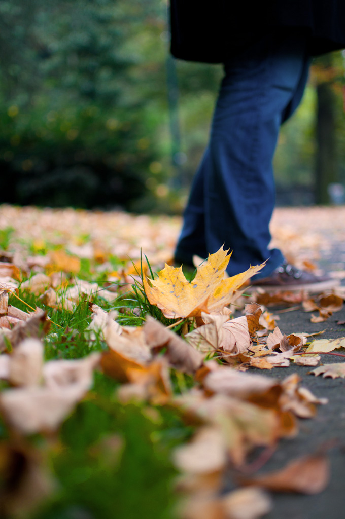 Herbst 3