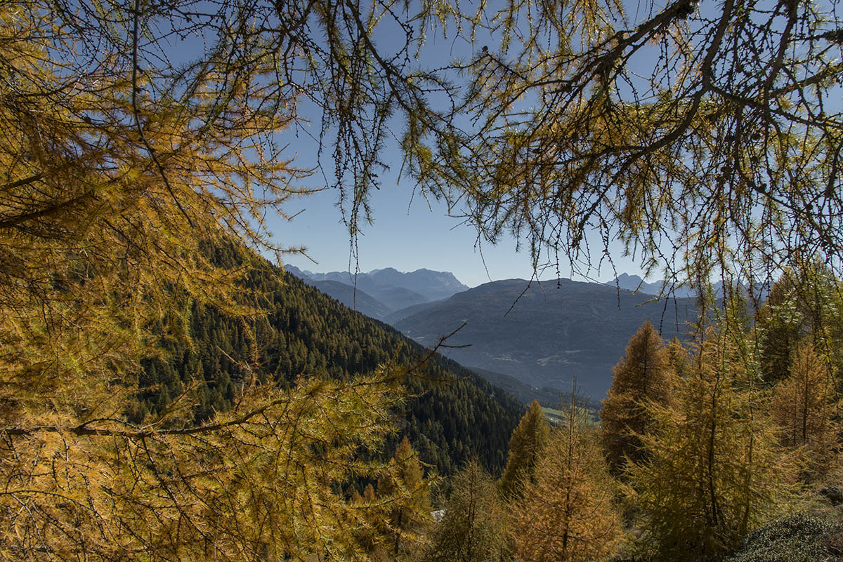 herbst 5