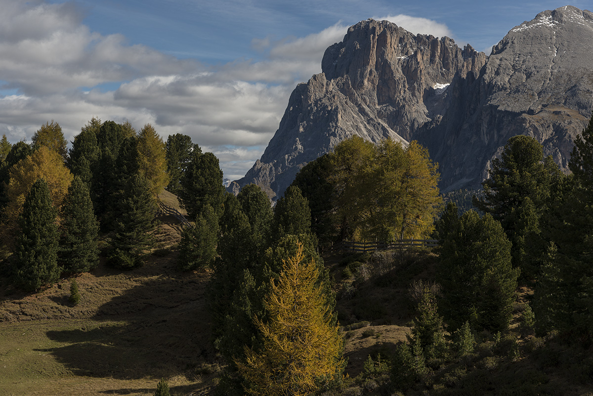 herbst 6
