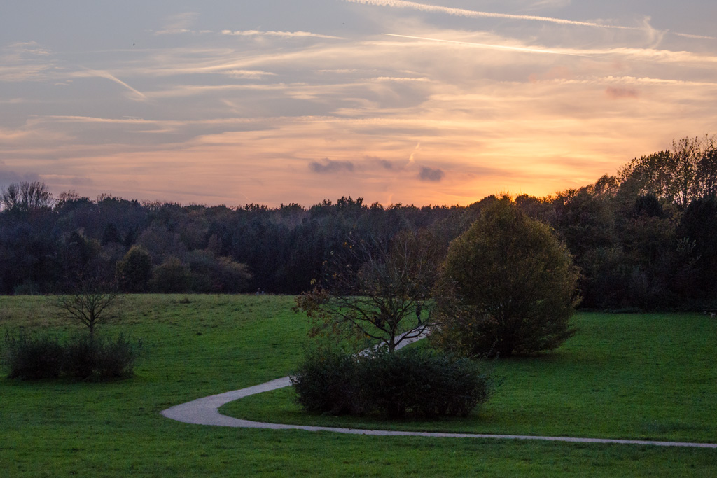 Herbst - am Forstbotanischen Garten, Köln