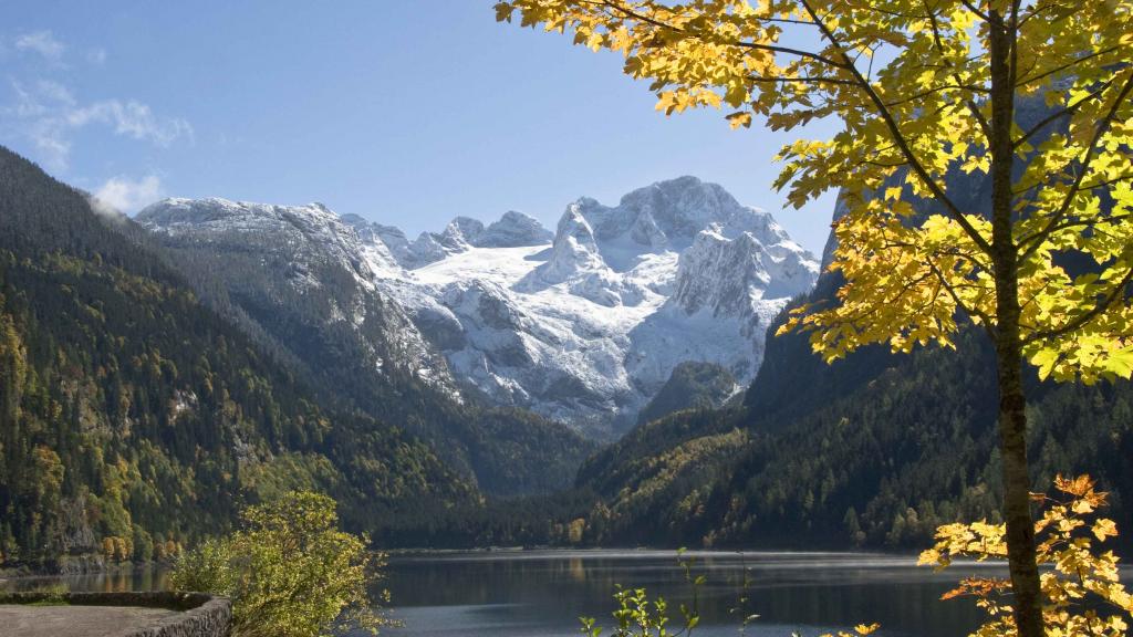 Herbst am Gosausee