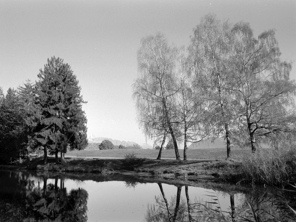 Herbst am Teich