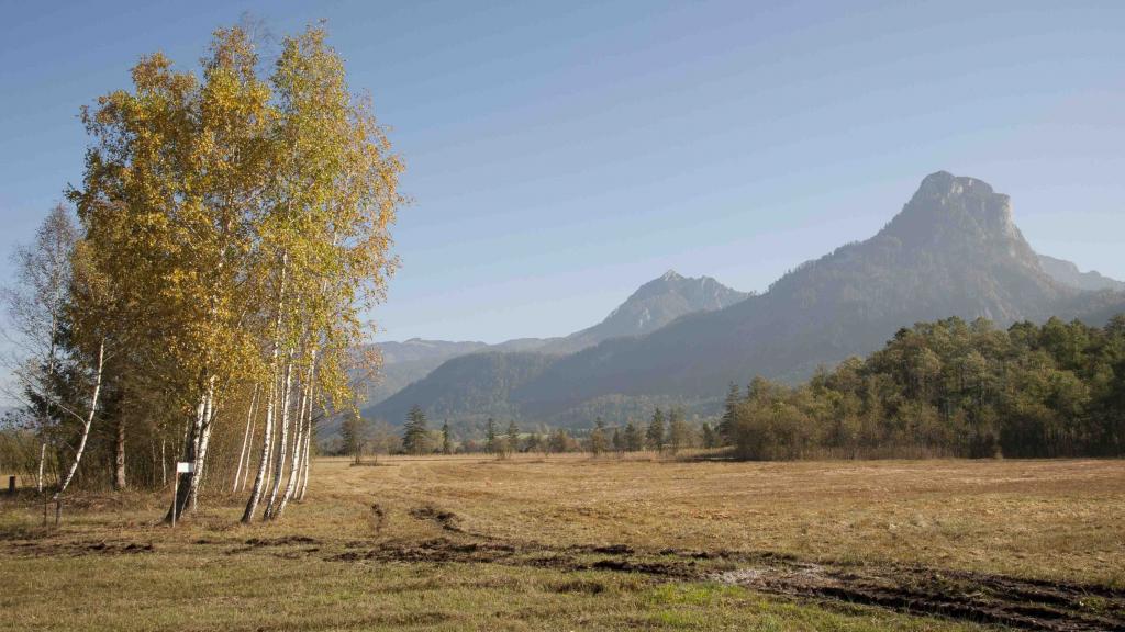 Herbst am Wolfgangsee