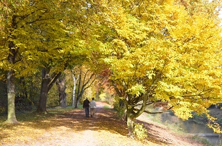 Herbst des Labens