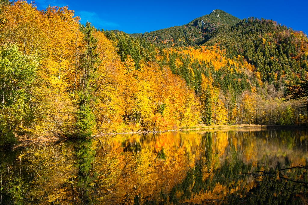 Herbst Hohenburg Weiher