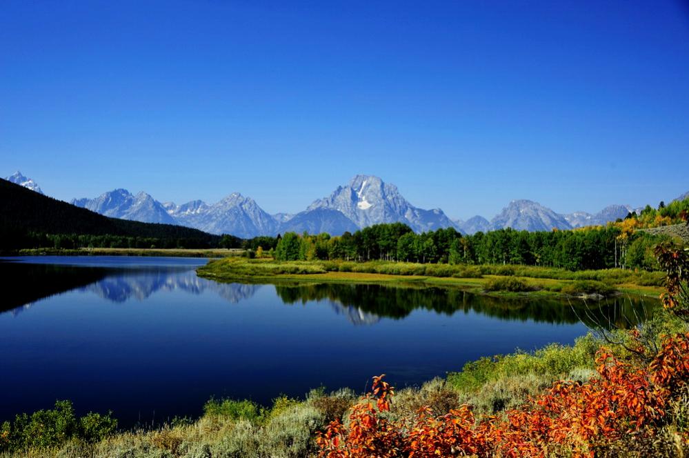 Herbst im Grand Teton ( Jackson Hole )