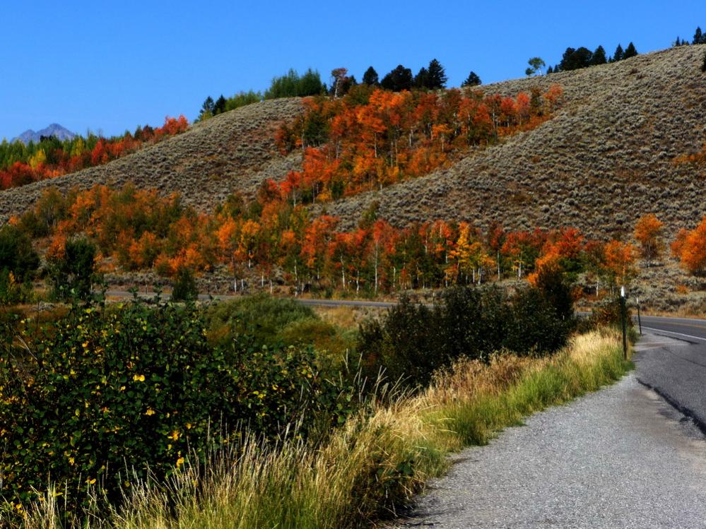 Herbst im Grand Teton Wyoming