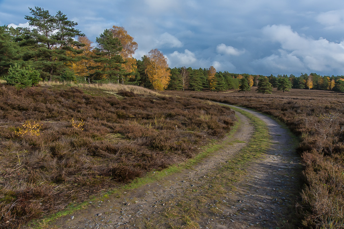 Herbst in der Hasenheide.jpg