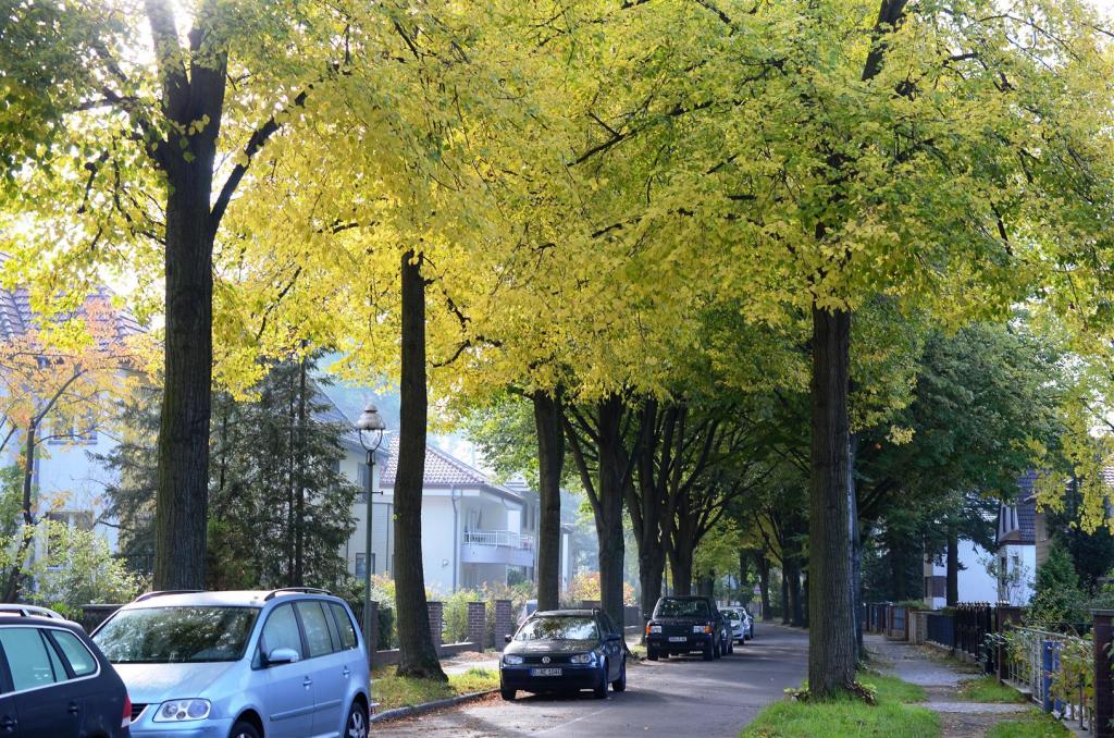 Herbst in Frohnau