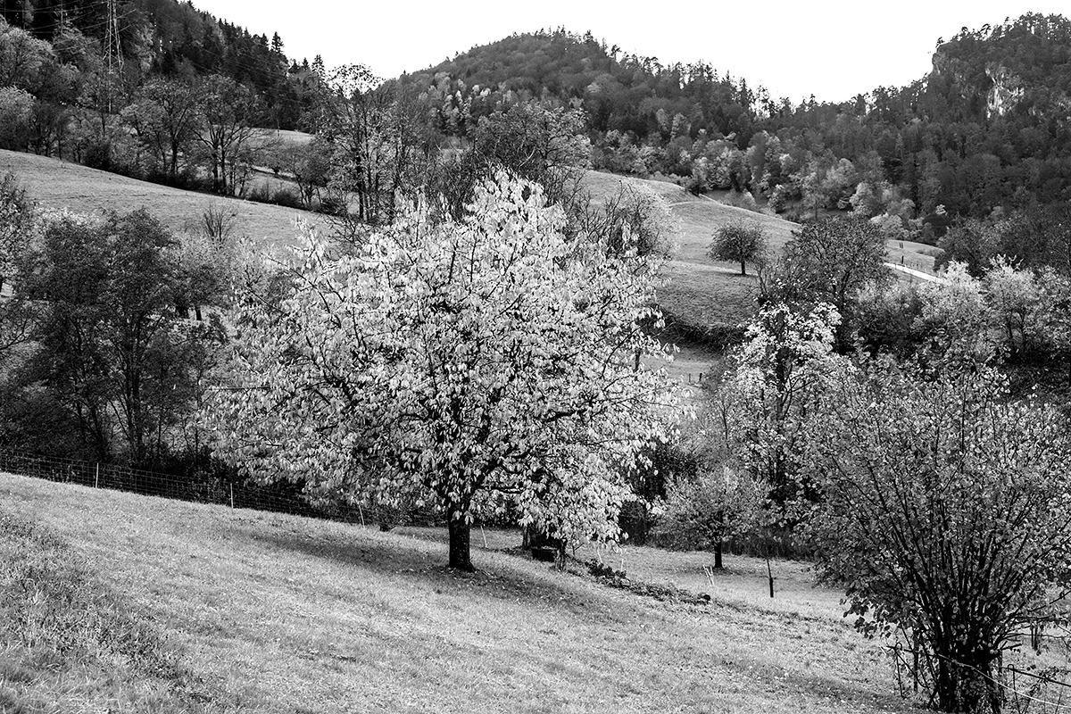Herbst.jpg