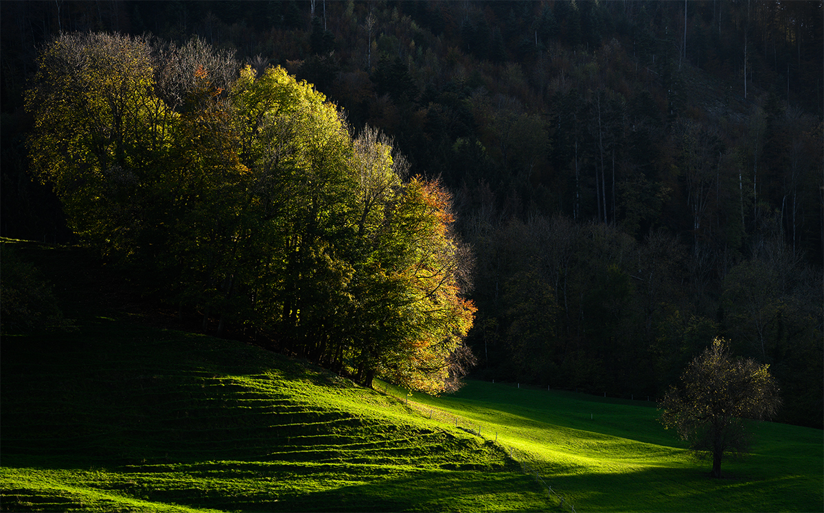 Herbst.jpg