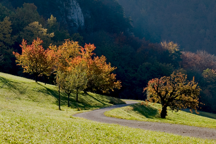 Herbst.jpg