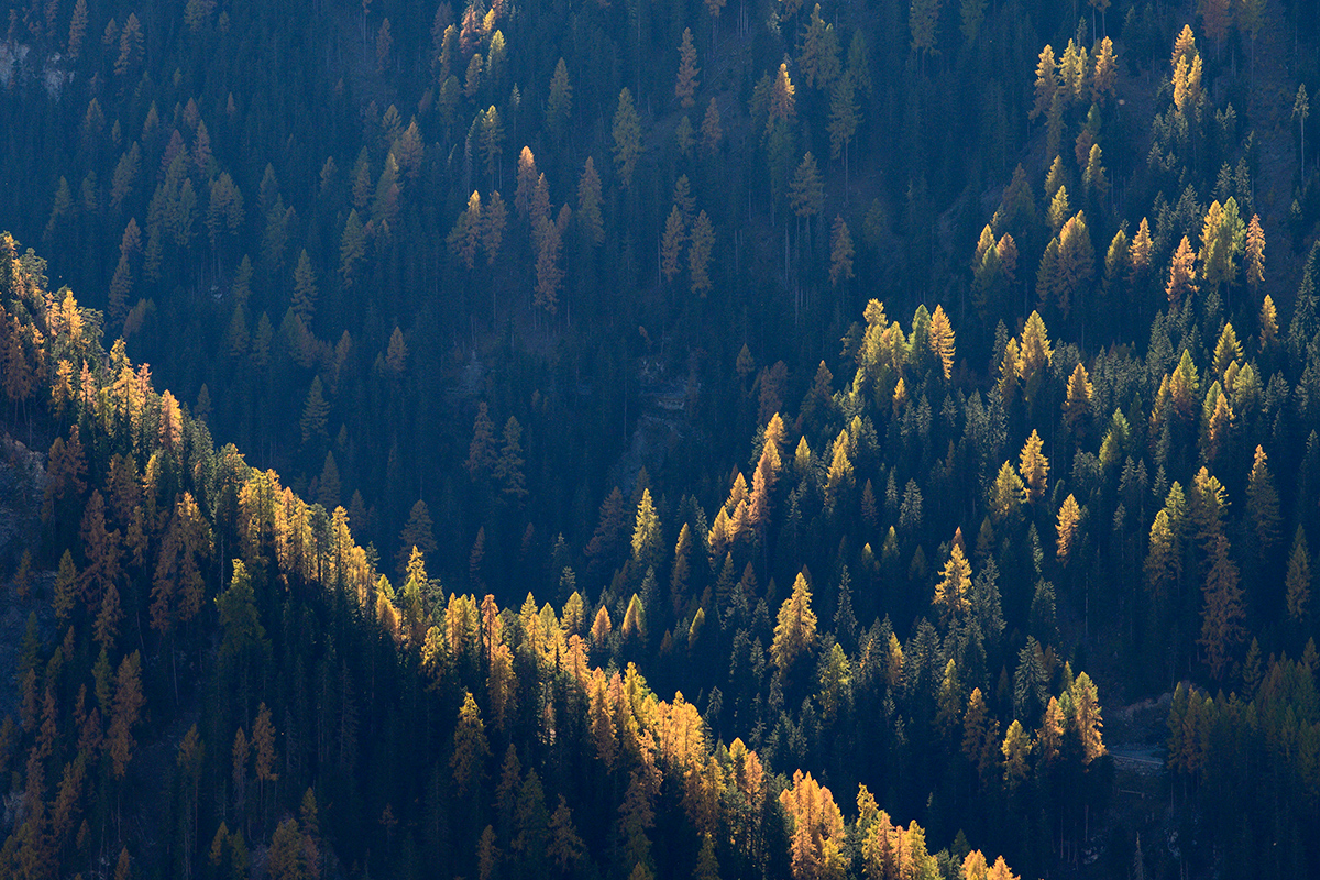Herbst.jpg
