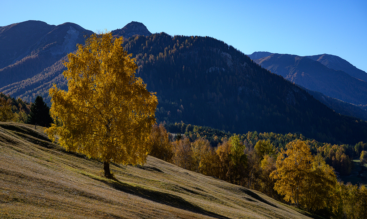 Herbst.jpg