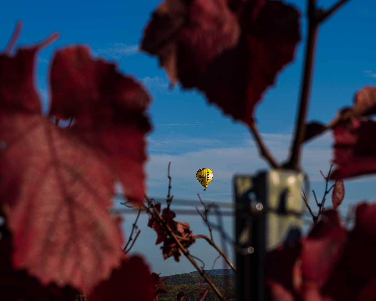 Herbst-Letzenberg-2160.jpg