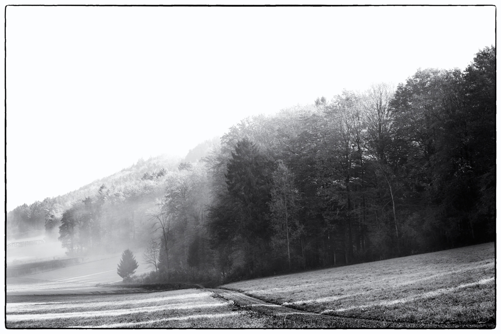 Herbst PZ14652