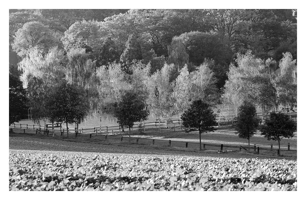 Herbst sw
