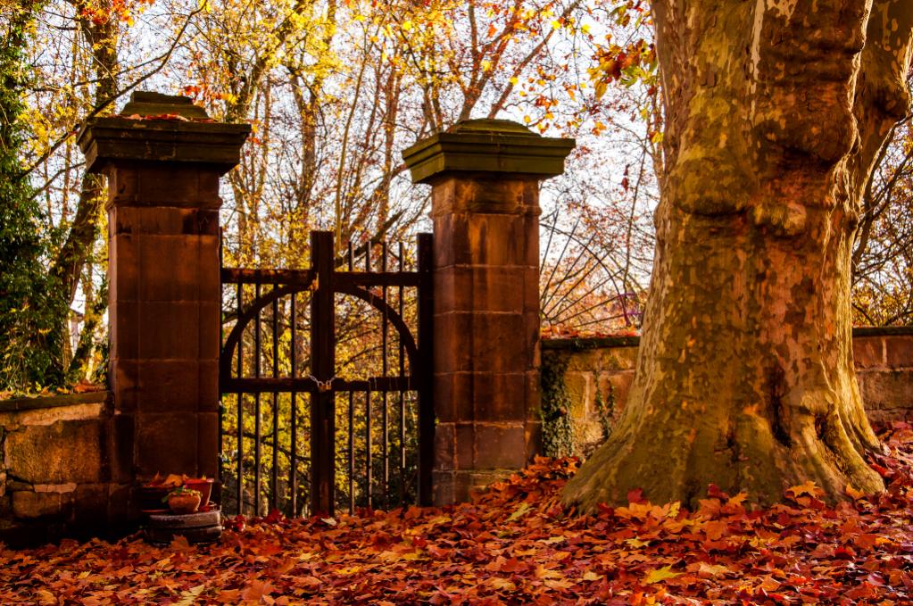 Herbst Tübingen 01