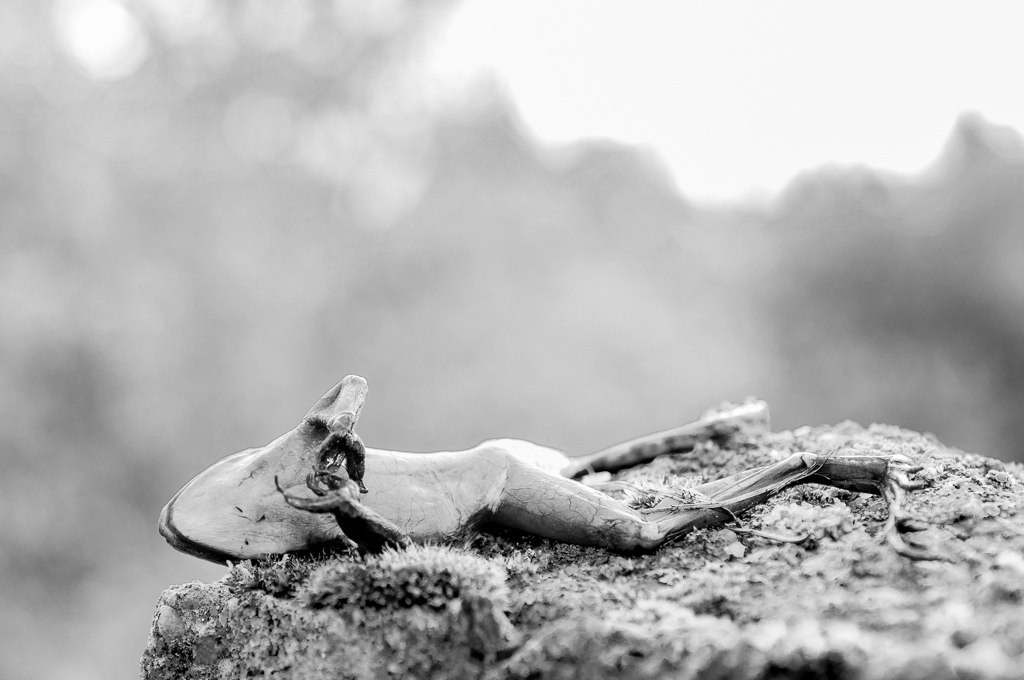 Herbst und Tod