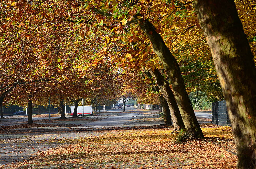 Herbst