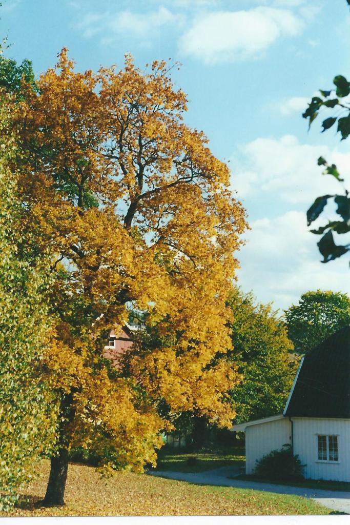 Herbst