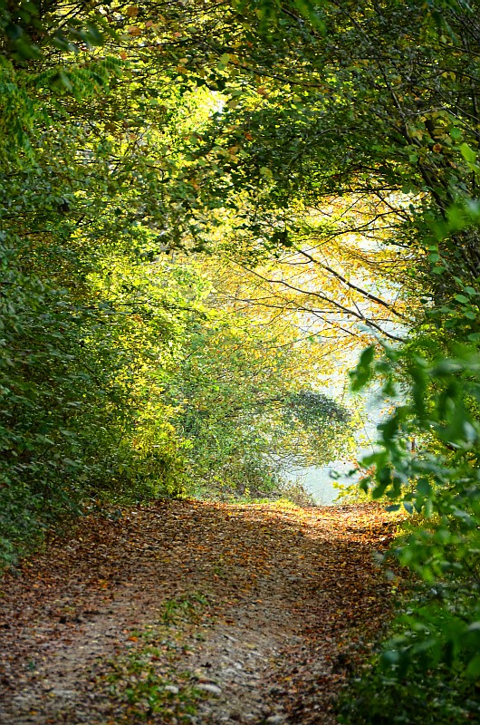 Herbst