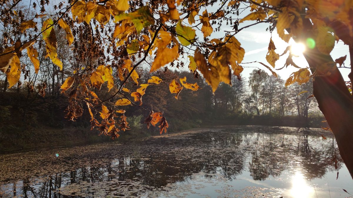 herbst