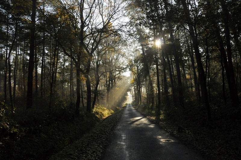Herbst