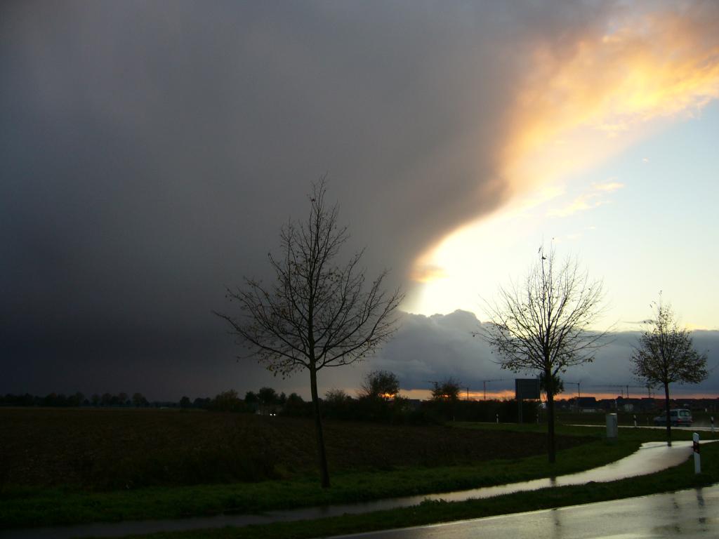 Herbst