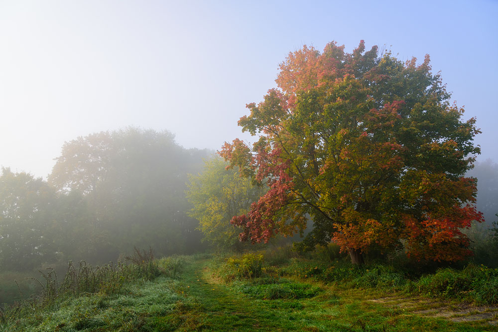 Herbst001a