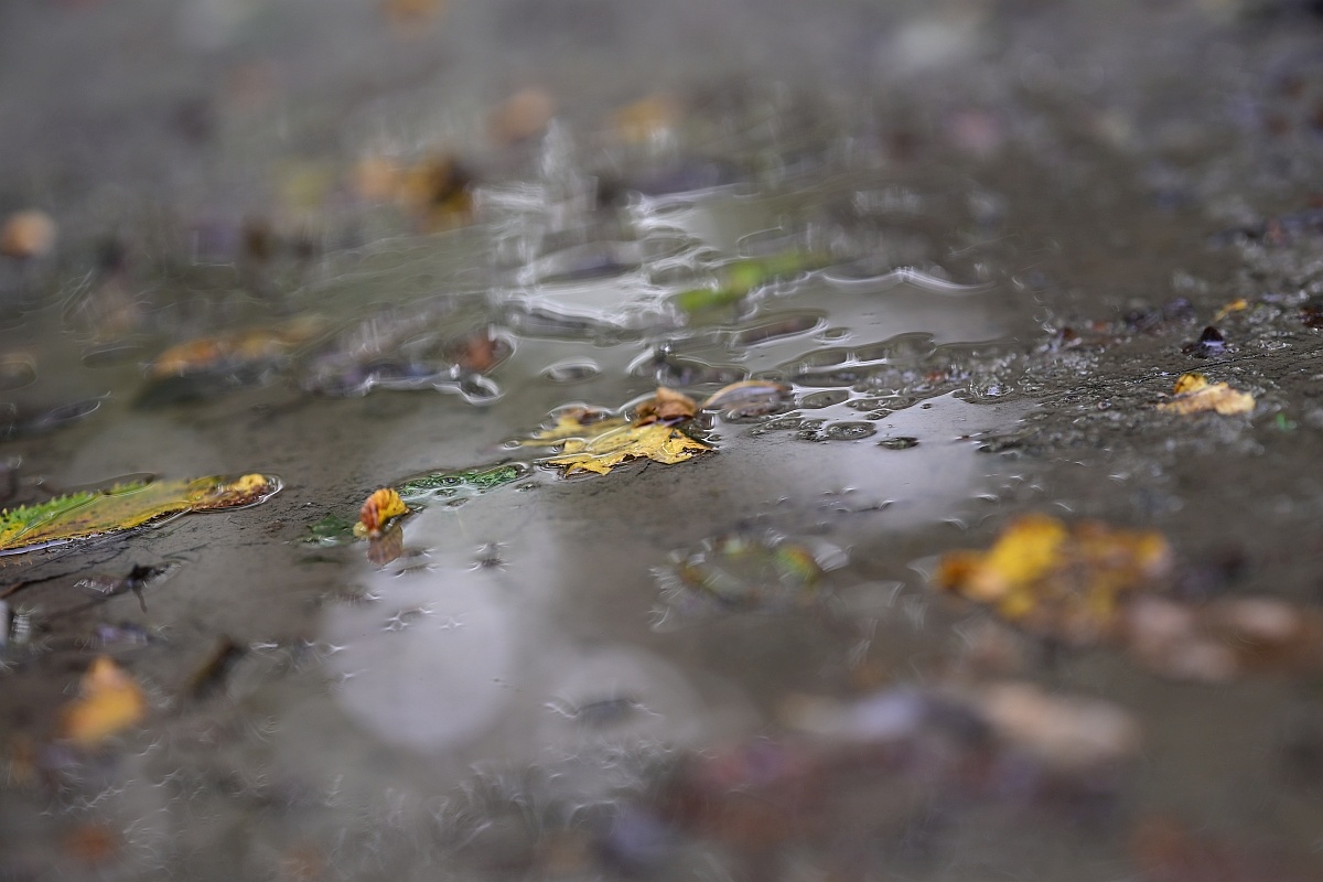 Herbst01.jpg