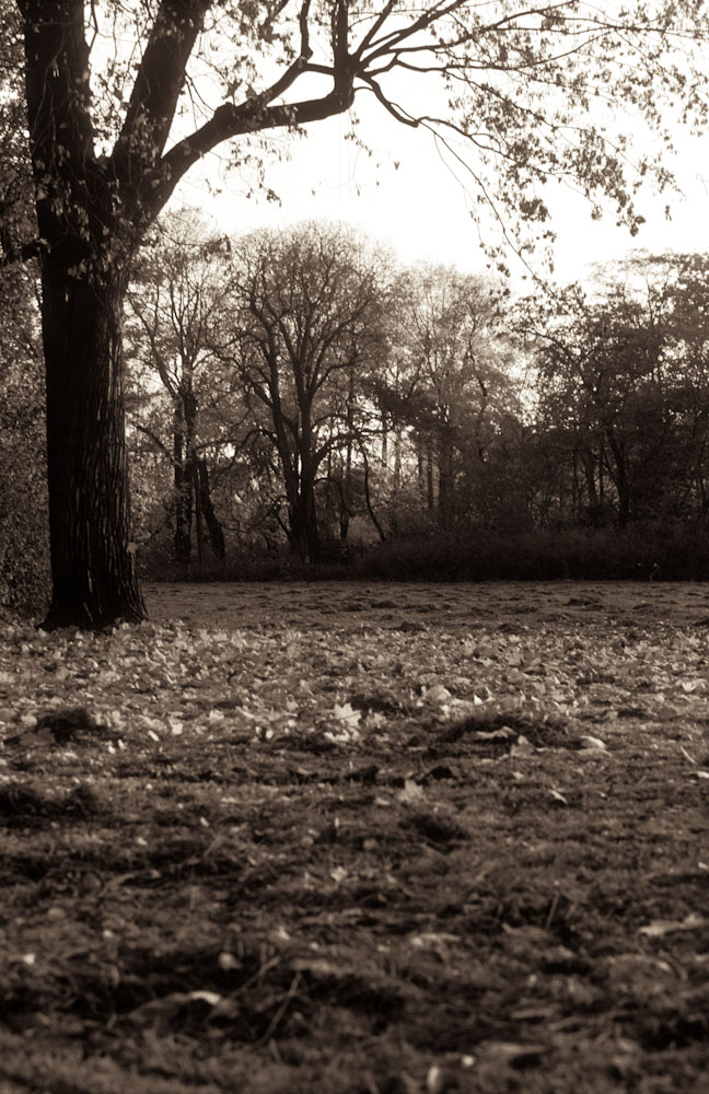 herbst01