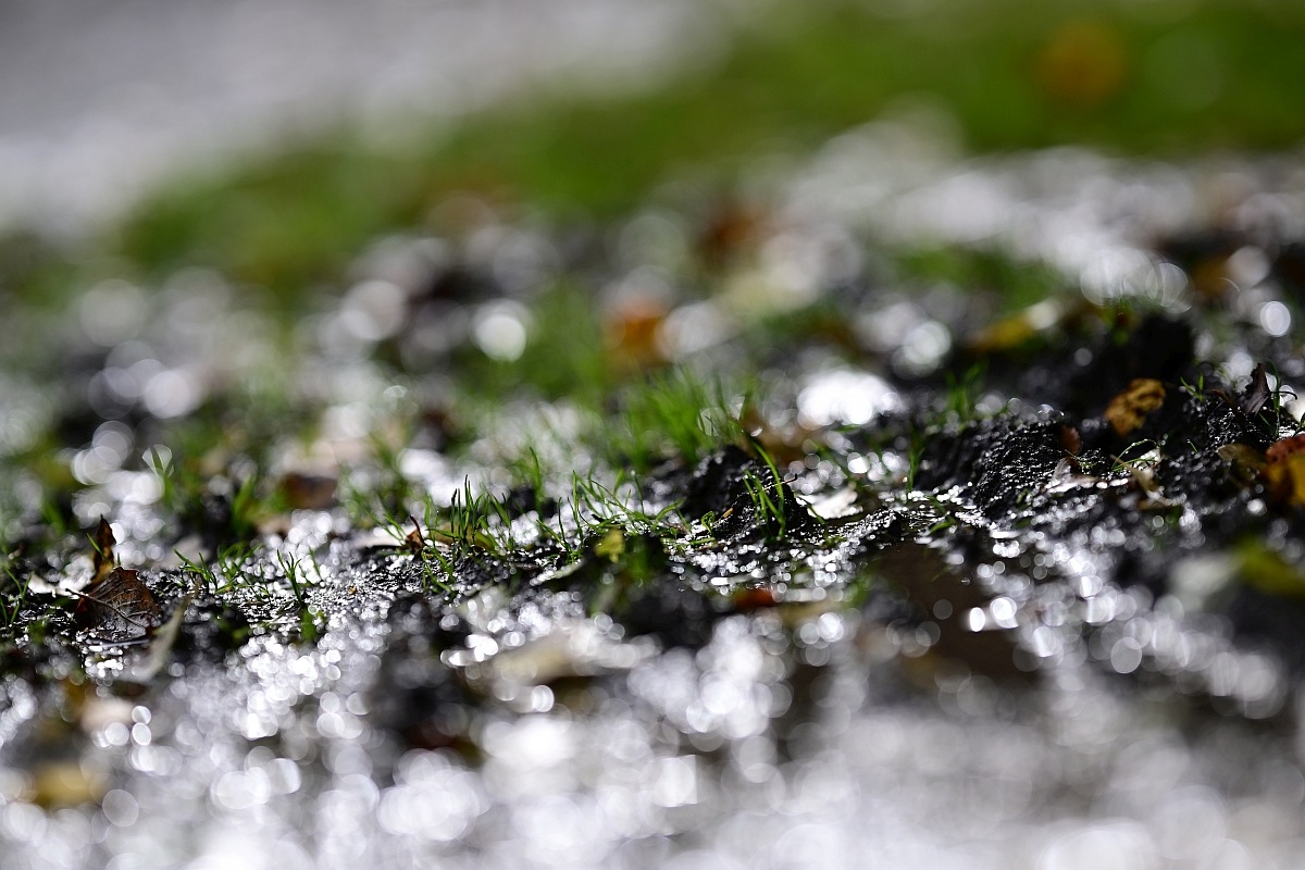 Herbst02.jpg