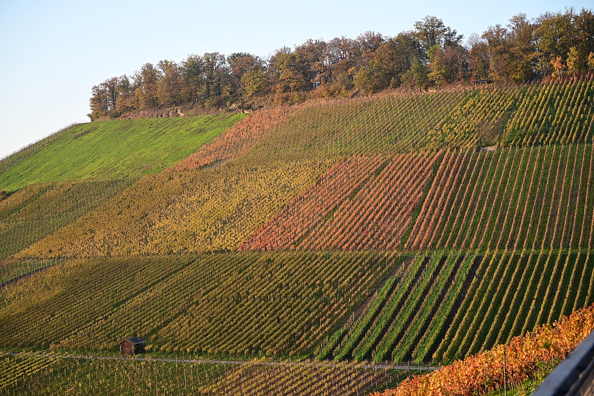 herbst02.jpg
