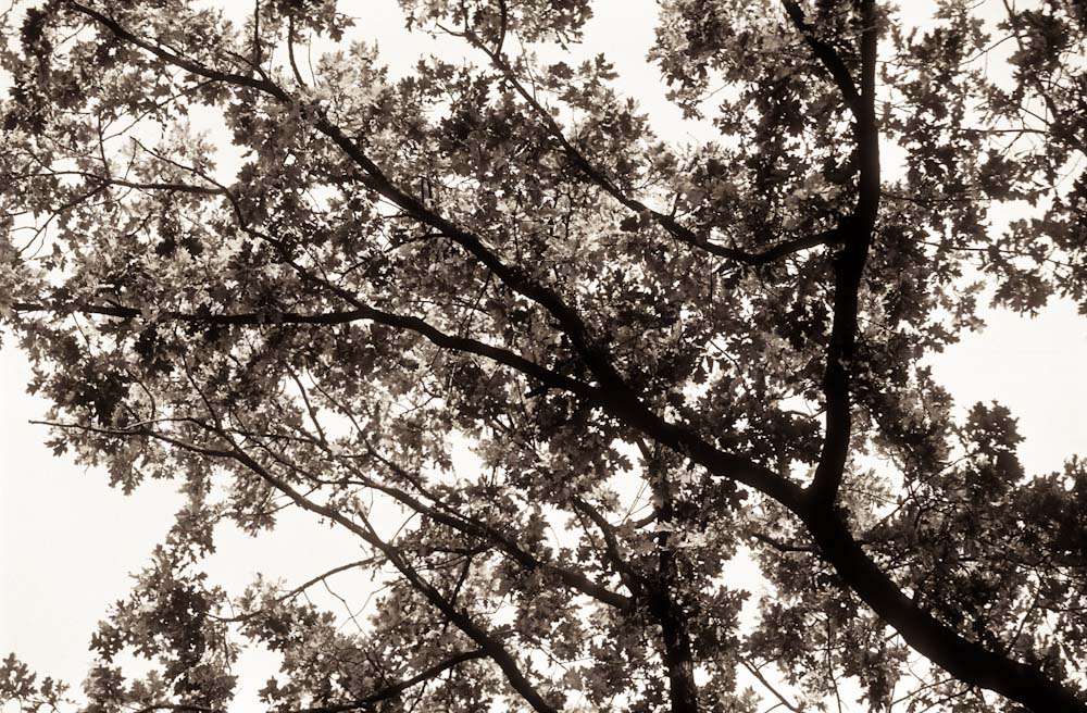 herbst02