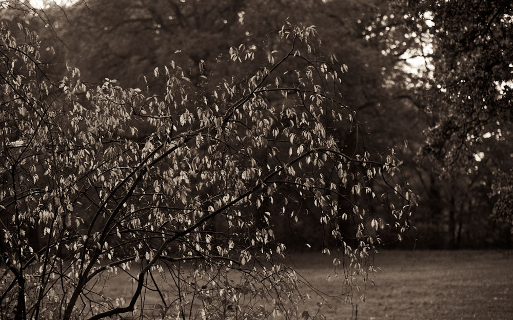 herbst04