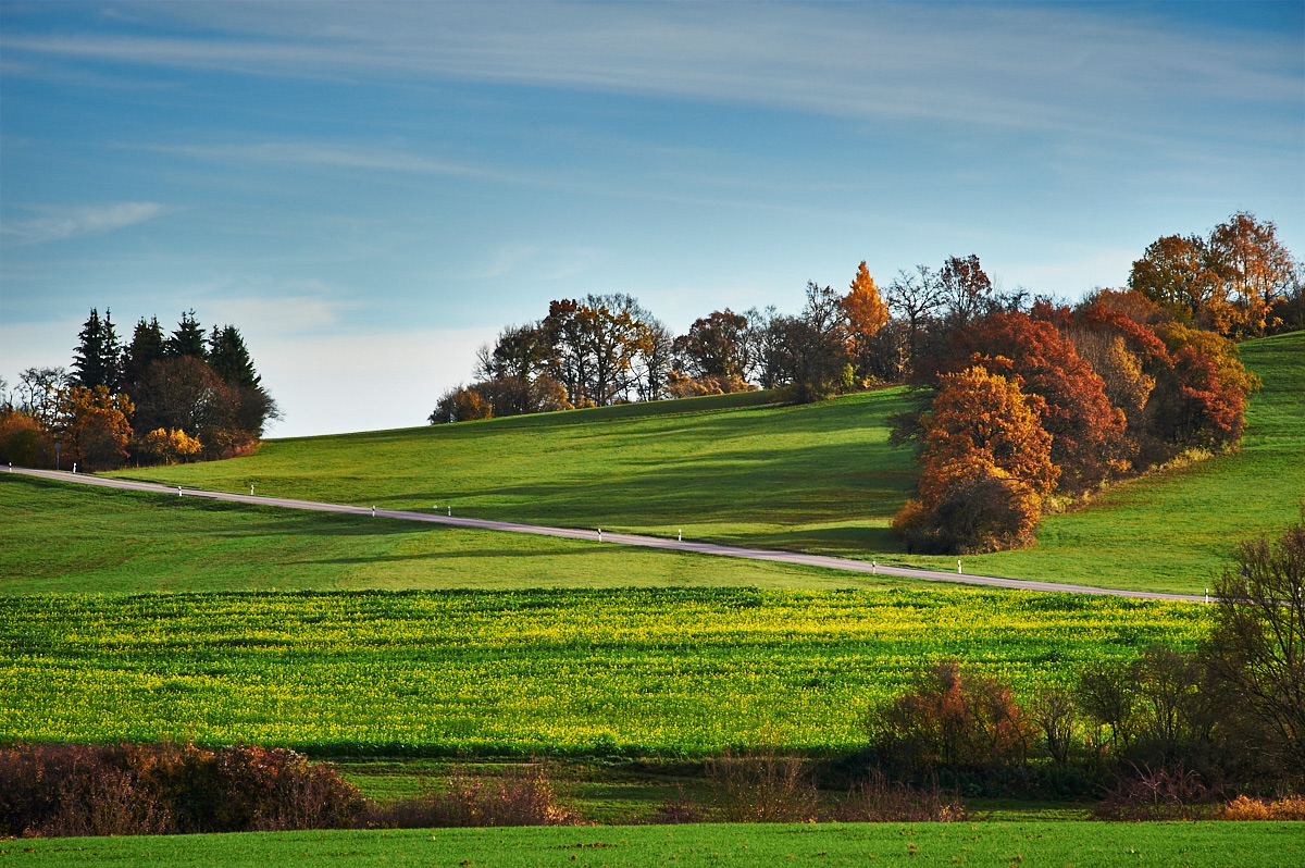 Herbst05