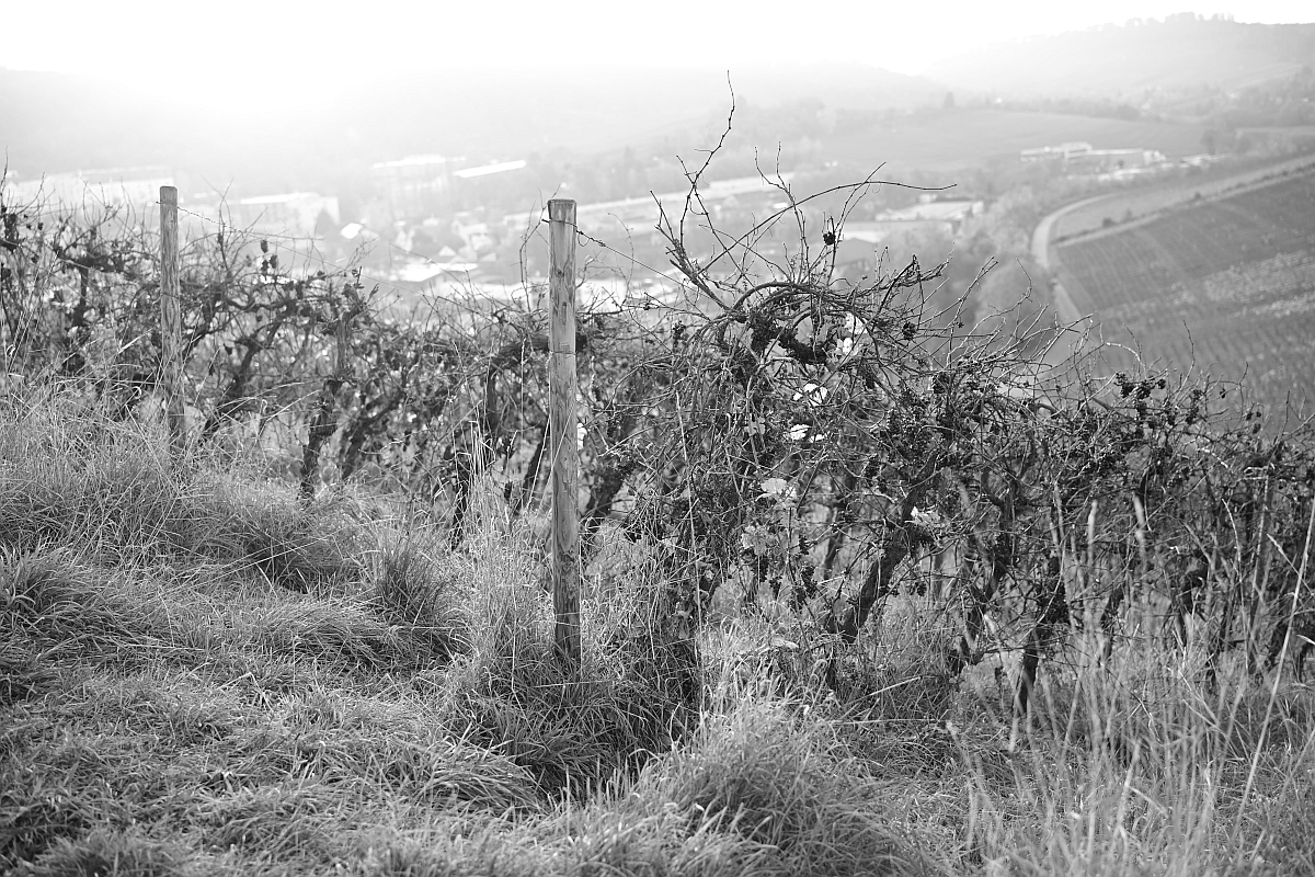 herbst09.jpg