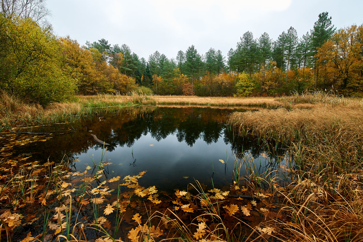 Herbst10