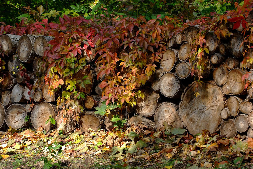 herbst2