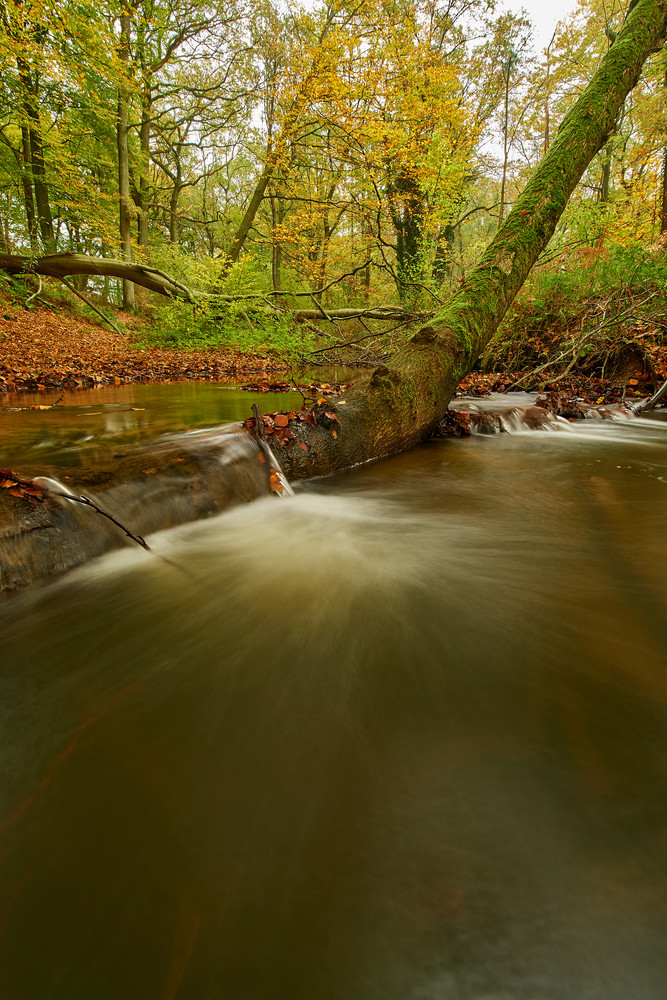 Herbst2